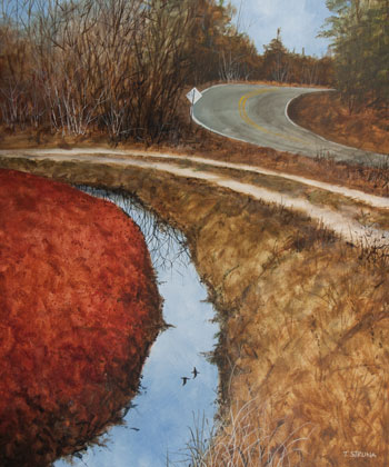 Struna Galleries of Brewster and Chatham, Cape Cod Paintings of New England and Cape Cod  - Bog Reflection II